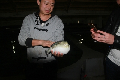大連啟航“海魚陸養”保險，海水養殖技術研發迎來新機遇